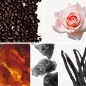 Preview: Duftnoten: Kaffee, Rose, Bernstein, Moschus, Vanille